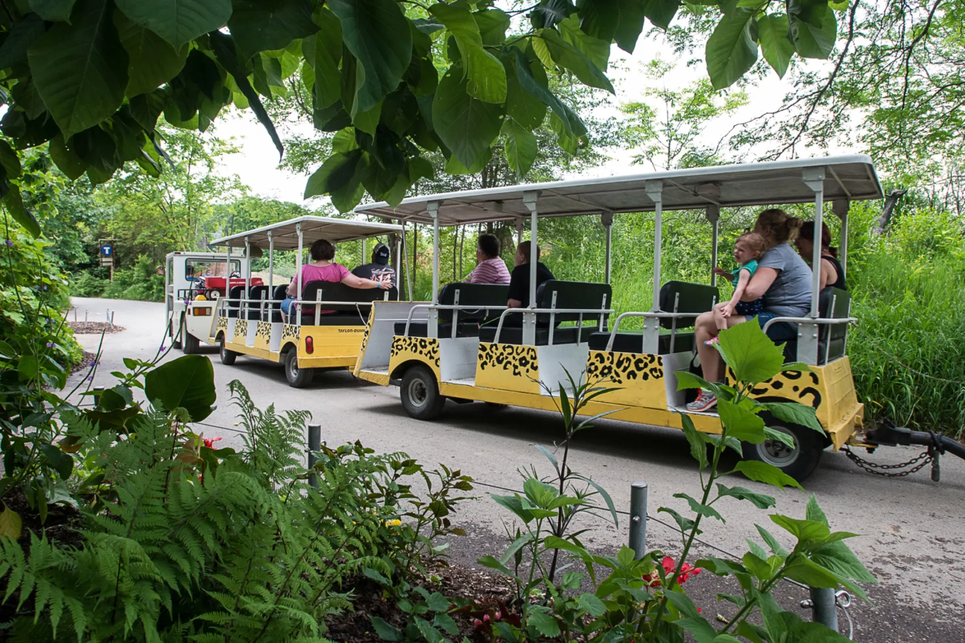 Zoo visitors riding the zoo tram.