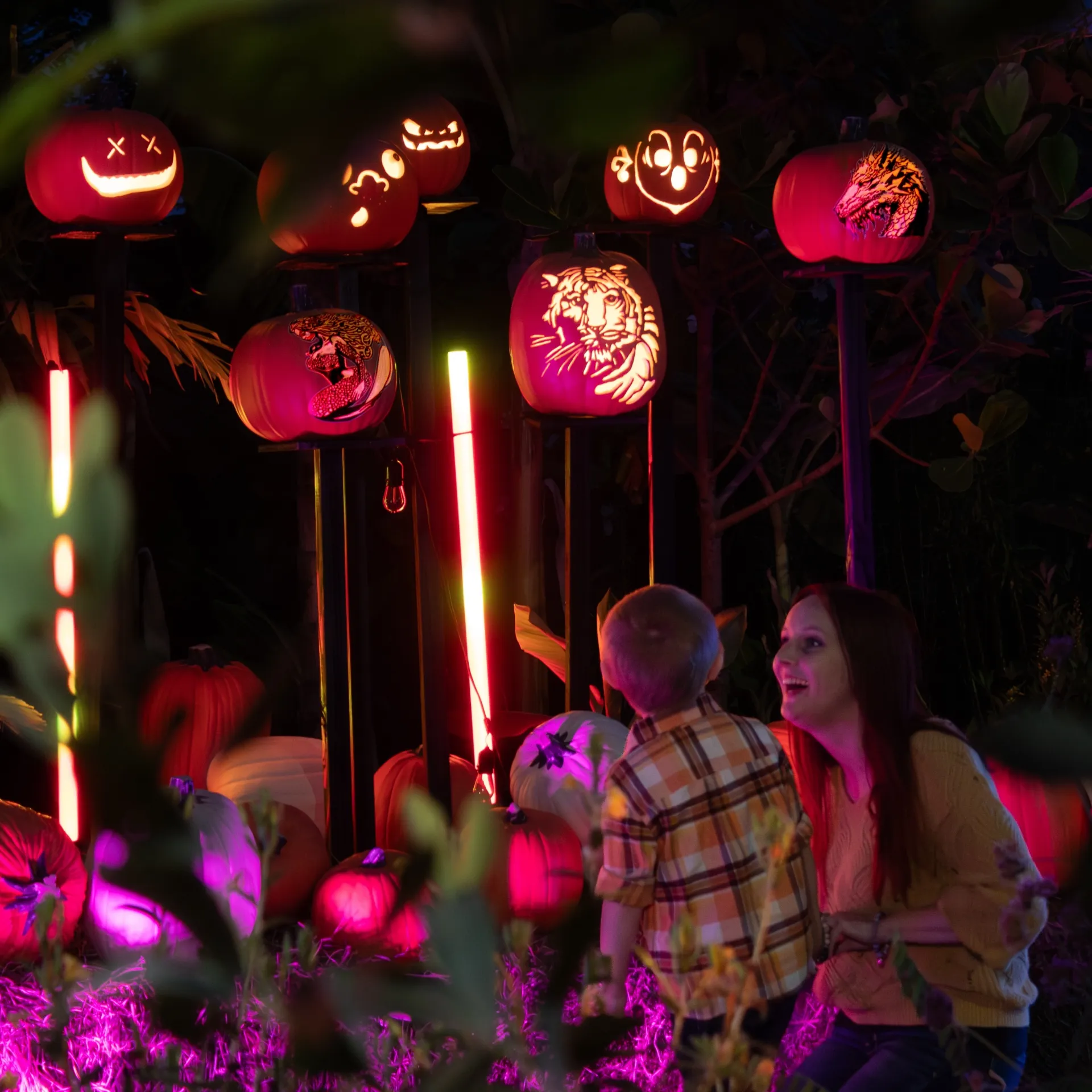 A mother and son looking at intricately carved pumpkins at the Pittsburgh Zoo & Aquarium's new event, Jack o' lantern extravaganza.