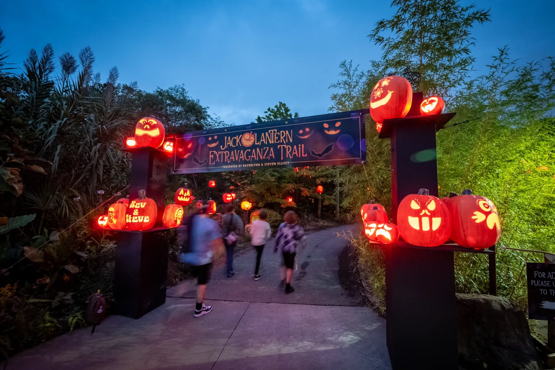 the entrance to the jack o'lantern trail. two black posts about 12 feet tall hold a dozen jack o'lanterns. a banner overhead marks the start of the trail.