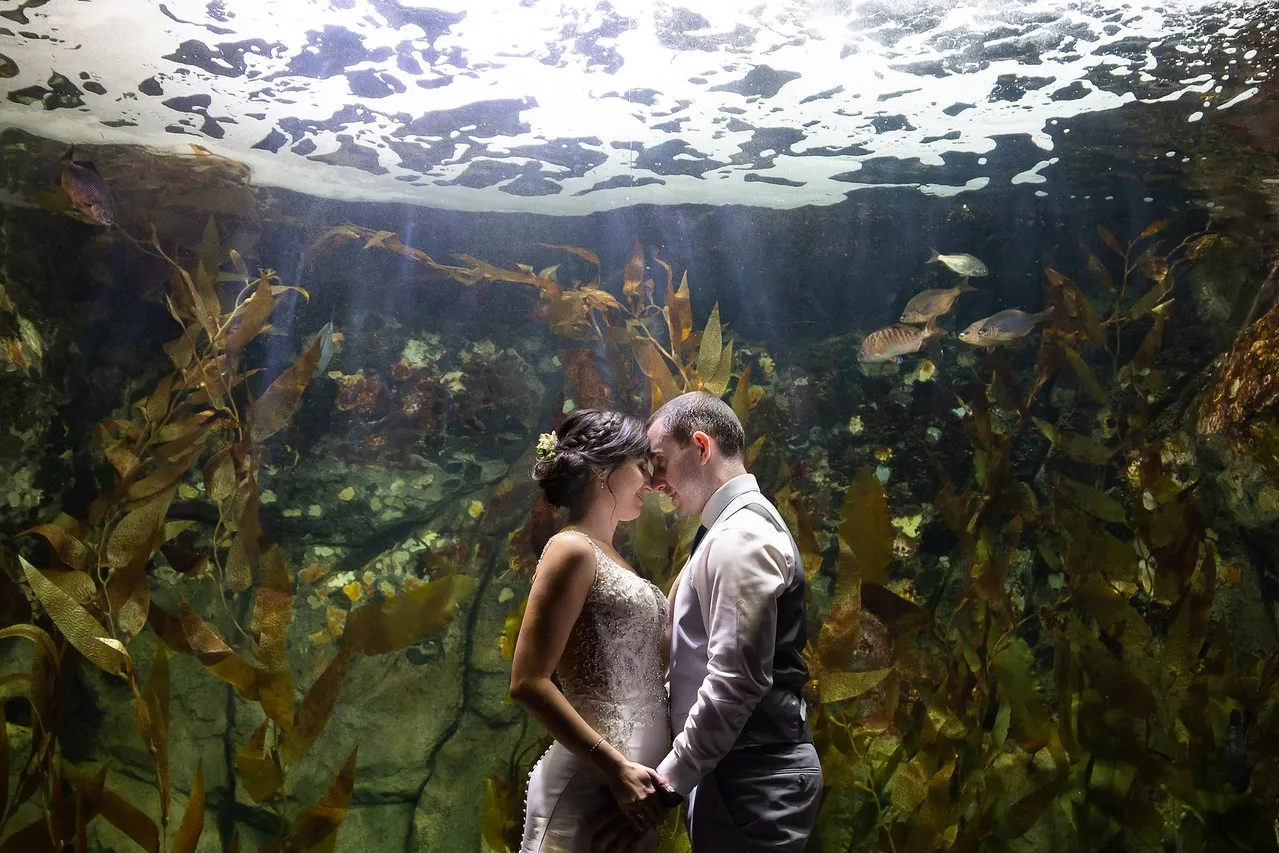 a bride and groom in front of a large tank in the aqurium. the water and lighting go over the couple's head, making it look like they may be under water. a small school of fish are swimming in the water.