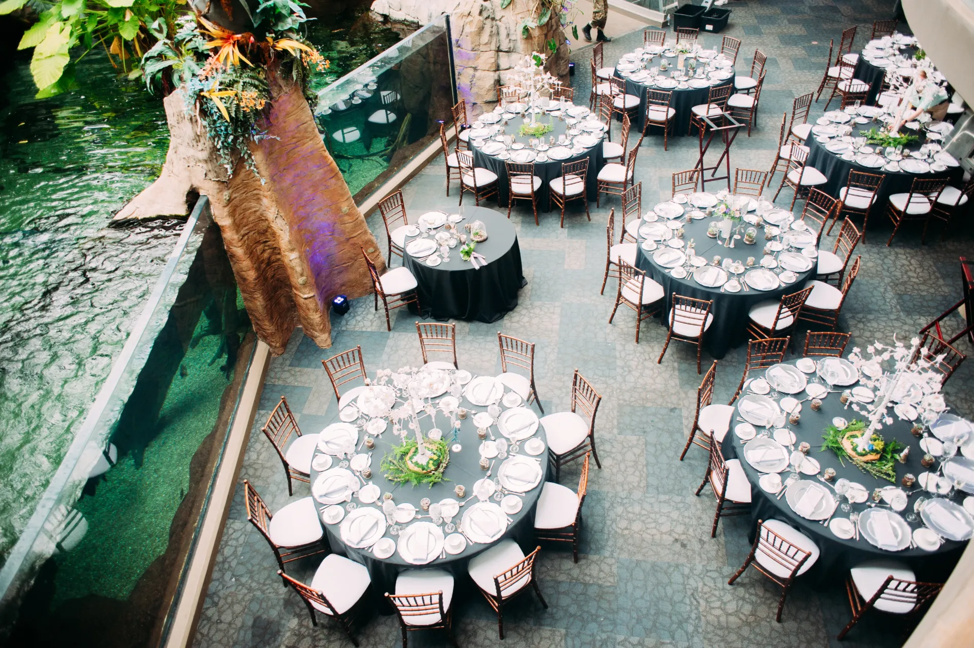 seven round guest tables and a sweetheart table set up on the lower floor of the aquarium. the round tables are each set for ten guests with full flatware, the sweetheart table is set for two. the tables are in front of the arapaima tank.