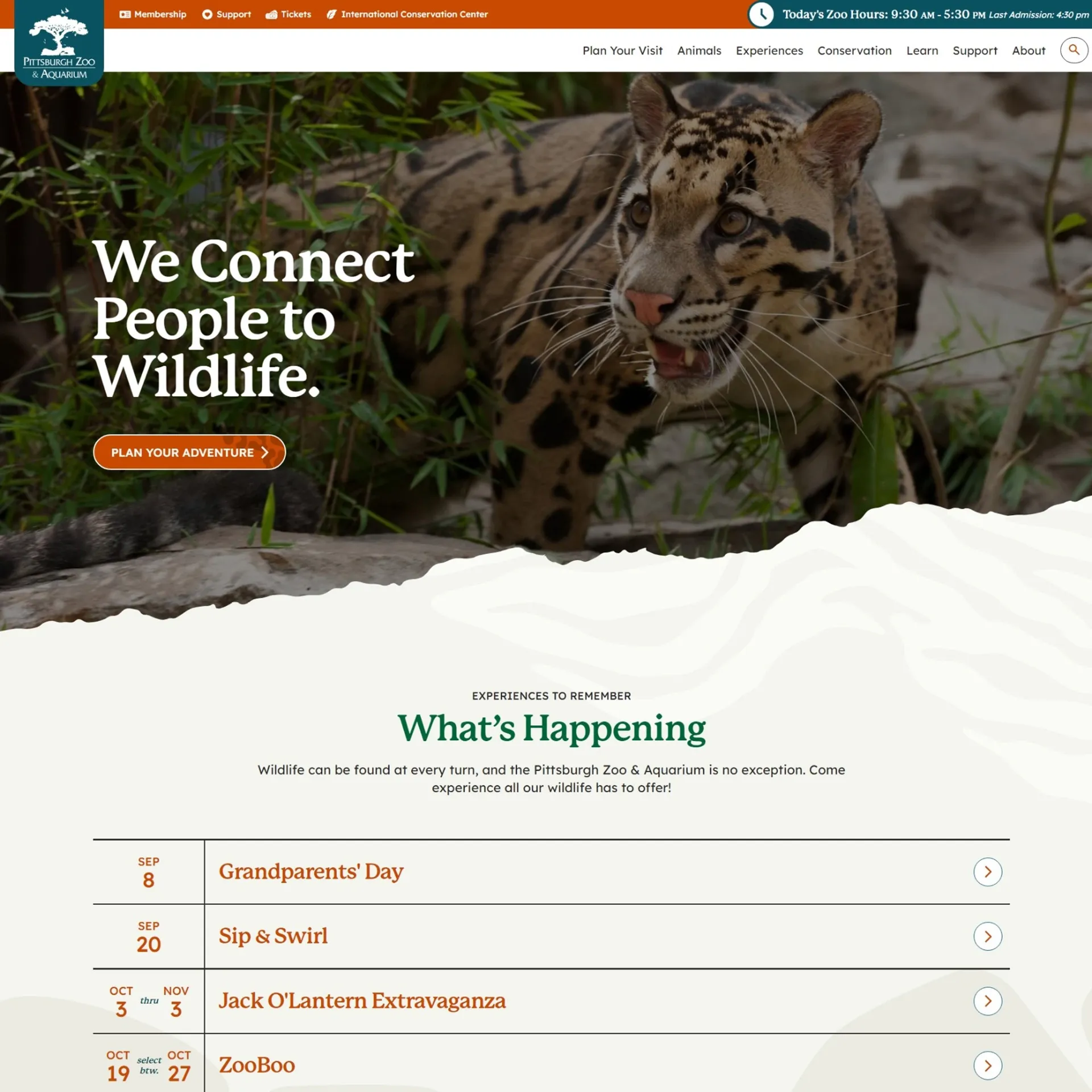 a screenshot of the new pittsburghzoo.org website. it features a picture of a clouded leopard, our main menu, and a button to plan your adventure. a portion of the zoo mission, we connect people to wildlife, is on the top of the page. a list of upcoming events is displayed below.